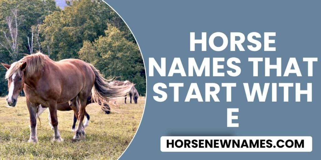 Horse Names that start With E