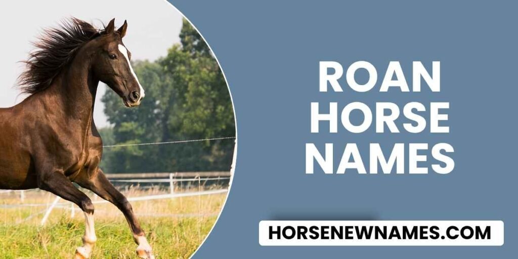 Roan Horse Names